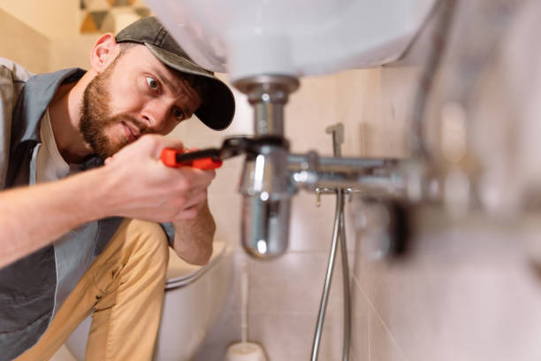 Best Local Plumber Services  in Kualapuu, HI